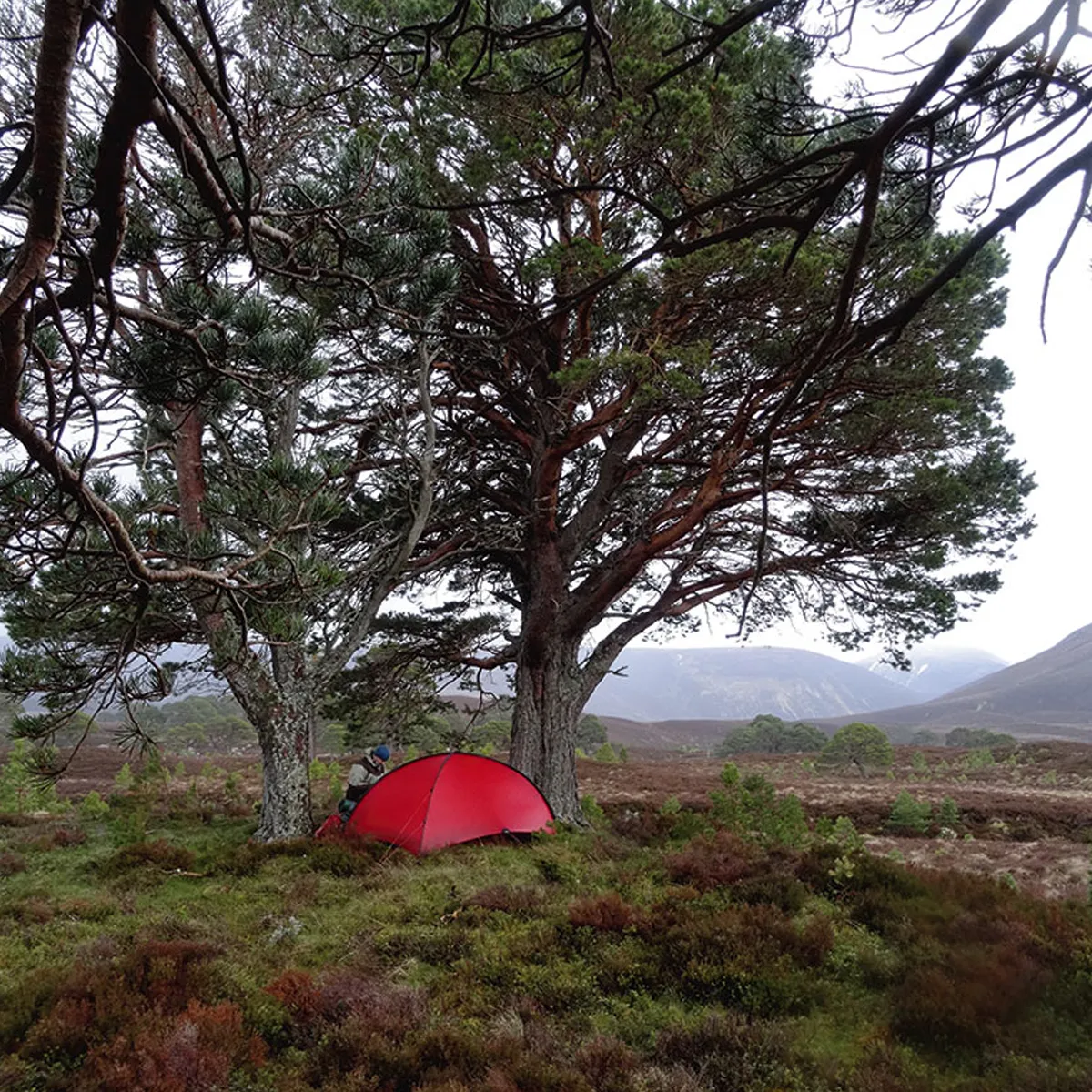 Hilleberg Niak 2 Tent